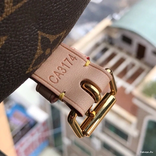 Vuitton Messenger Louis 0601